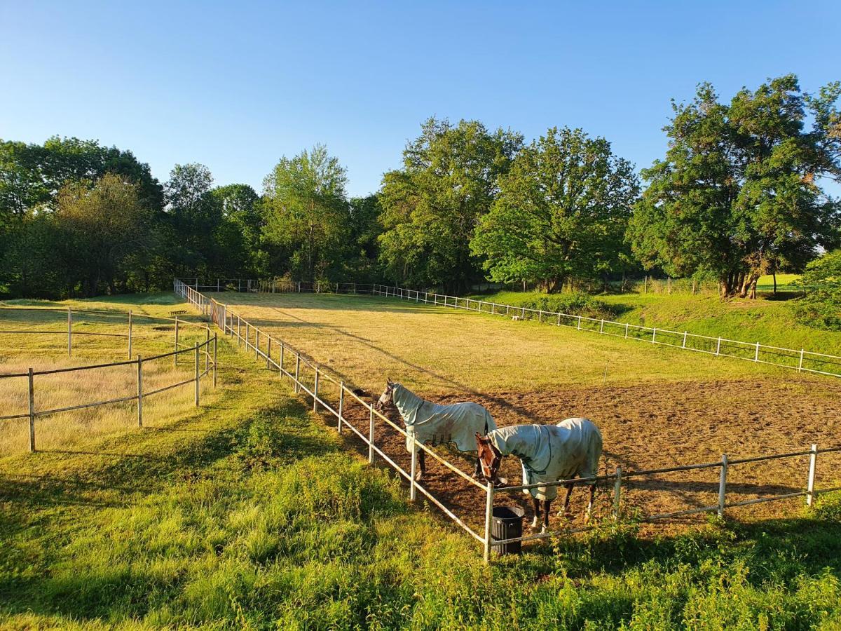 Ferme Equestre & Chambres D'Hotes Gateau Stables Proche Guedelon Saint-Amand-en-Puisaye Экстерьер фото