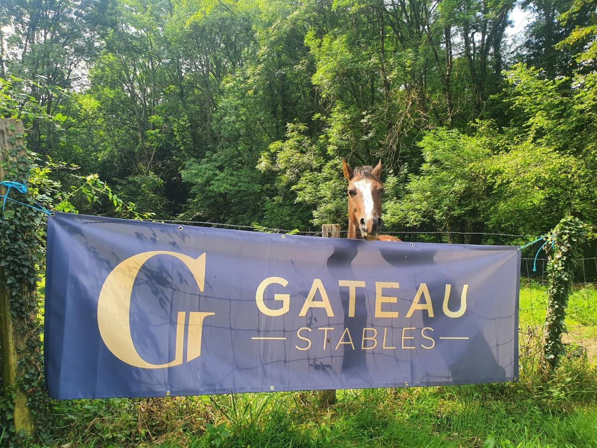 Ferme Equestre & Chambres D'Hotes Gateau Stables Proche Guedelon Saint-Amand-en-Puisaye Экстерьер фото