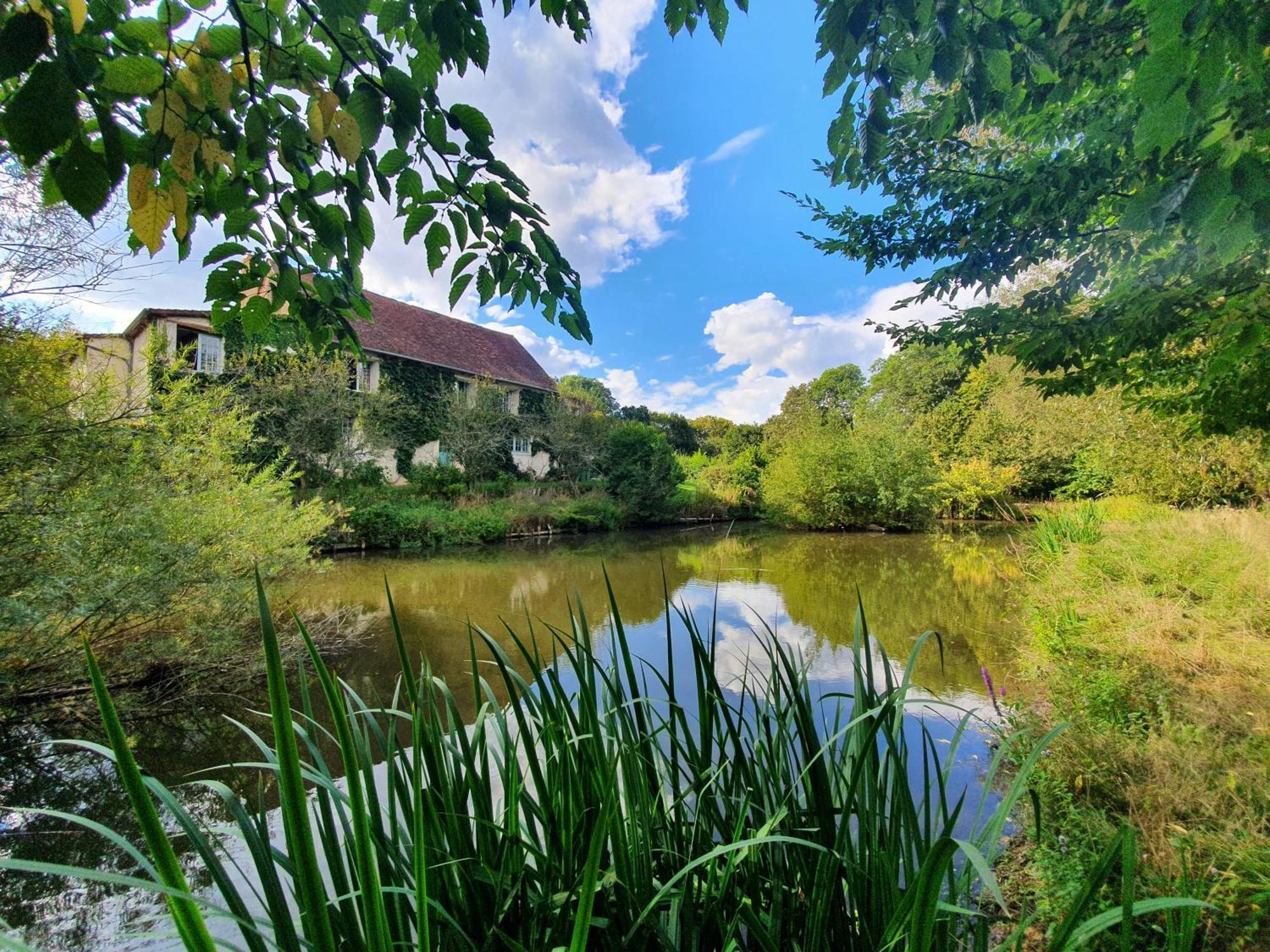 Ferme Equestre & Chambres D'Hotes Gateau Stables Proche Guedelon Saint-Amand-en-Puisaye Экстерьер фото