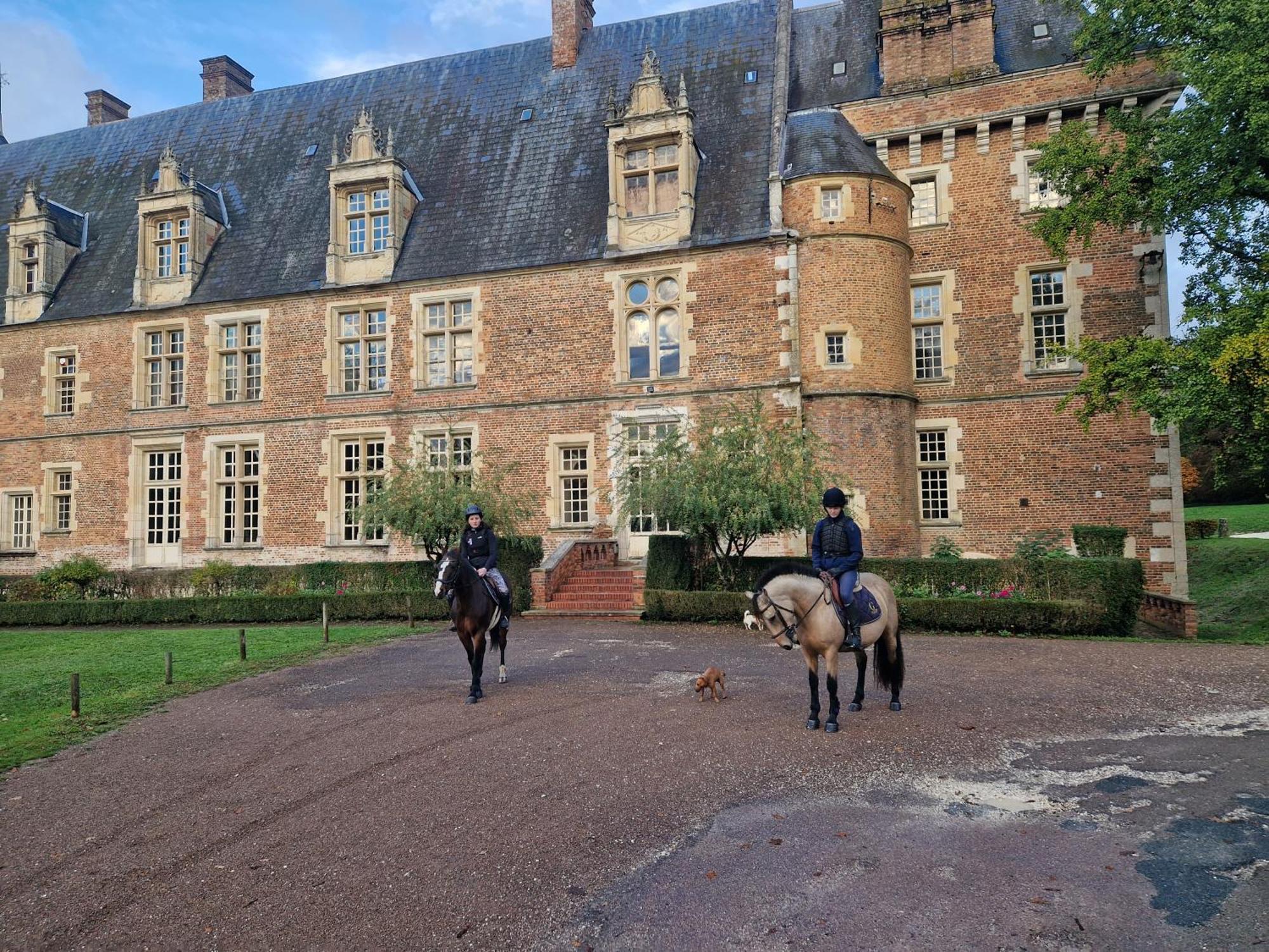 Ferme Equestre & Chambres D'Hotes Gateau Stables Proche Guedelon Saint-Amand-en-Puisaye Экстерьер фото