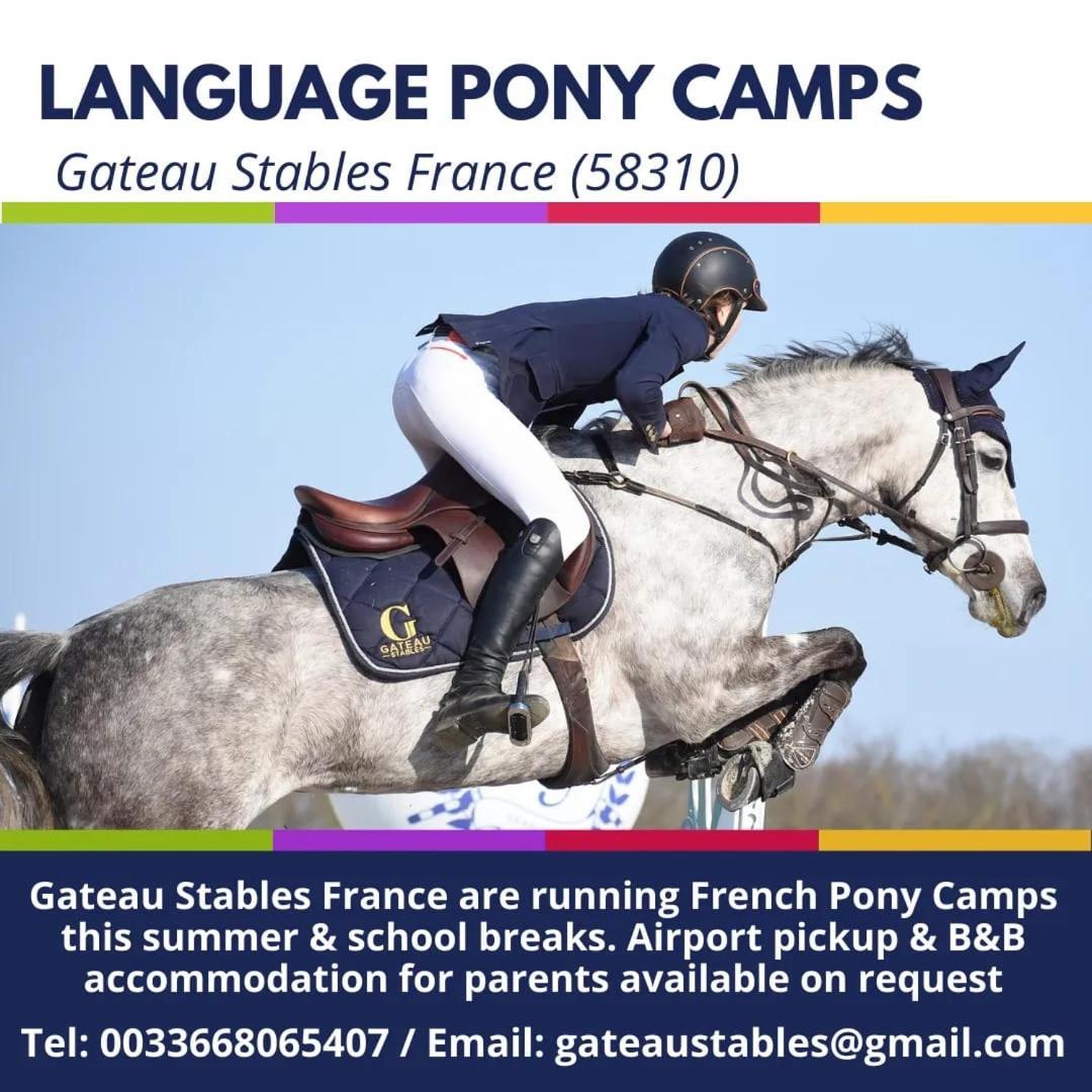 Ferme Equestre & Chambres D'Hotes Gateau Stables Proche Guedelon Saint-Amand-en-Puisaye Экстерьер фото